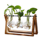 Plant Terrarium with Wooden Stand - Elegant Home Decor