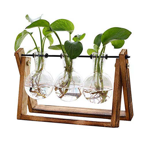 Plant Terrarium with Wooden Stand, Air Planter Bulb Glass Vase Metal
