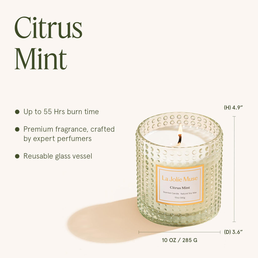 Amber Bergamot & Clove Fall Scented Candle – 10 oz