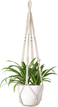 Indoor Hanging Planter Basket with Wood Beads - Ideal for Home Decor