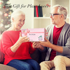 Plant Terrarium with Wooden Stand - Elegant Home Decor