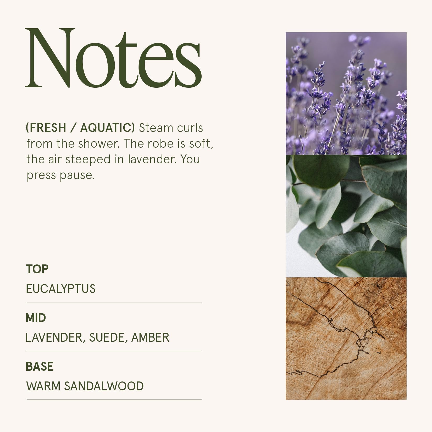 LA JOLIE MUSE Fall Candle | Sahara Amber Candles – Bergamot