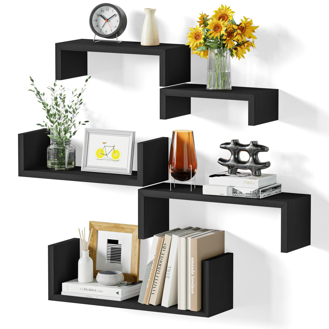 SRIWATANA Floating Shelves for Wall