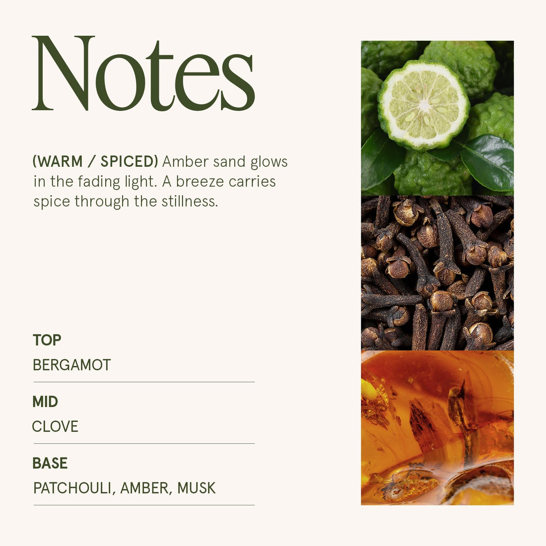 LA JOLIE MUSE Fall Candle | Sahara Amber Candles – Bergamot