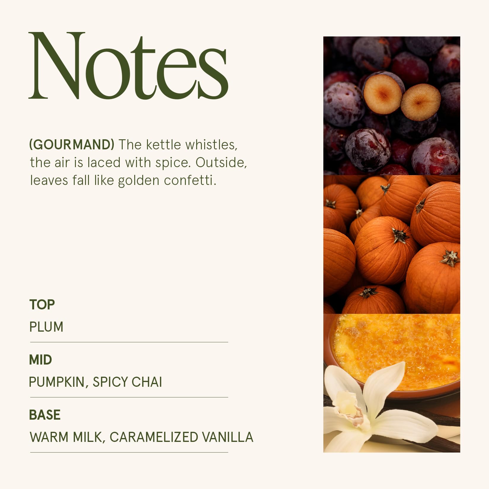 LA JOLIE MUSE Fall Candle | Sahara Amber Candles – Bergamot