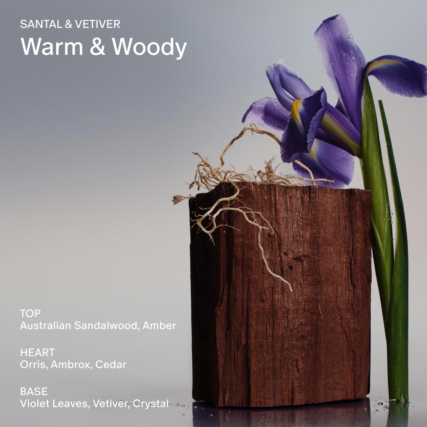 SALT & STONE Scented Candle for Women & Men