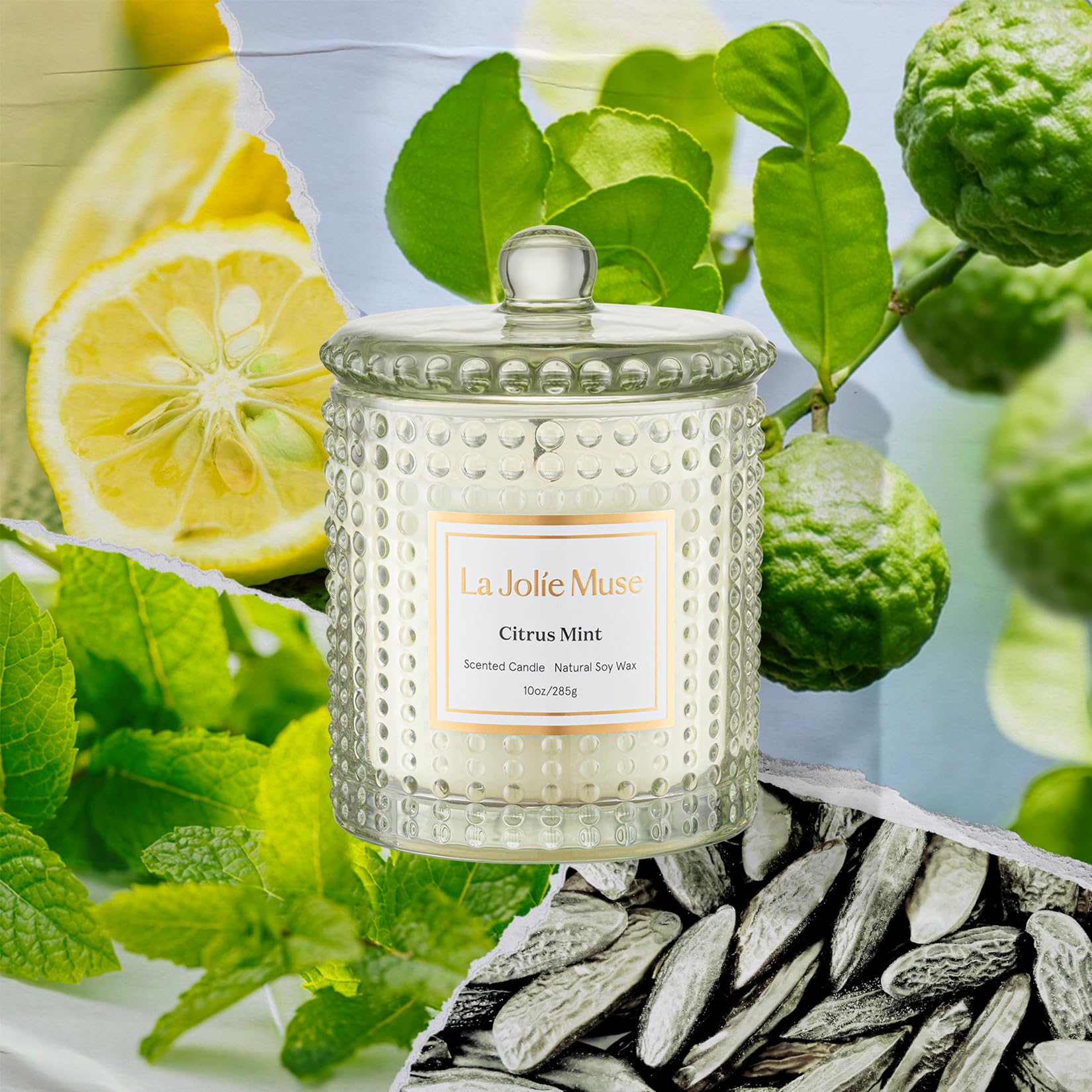 Amber Bergamot & Clove Fall Scented Candle – 10 oz