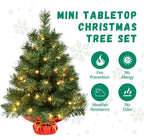 Leeheeyee Mini Christmas Tree with 50 LED Lights