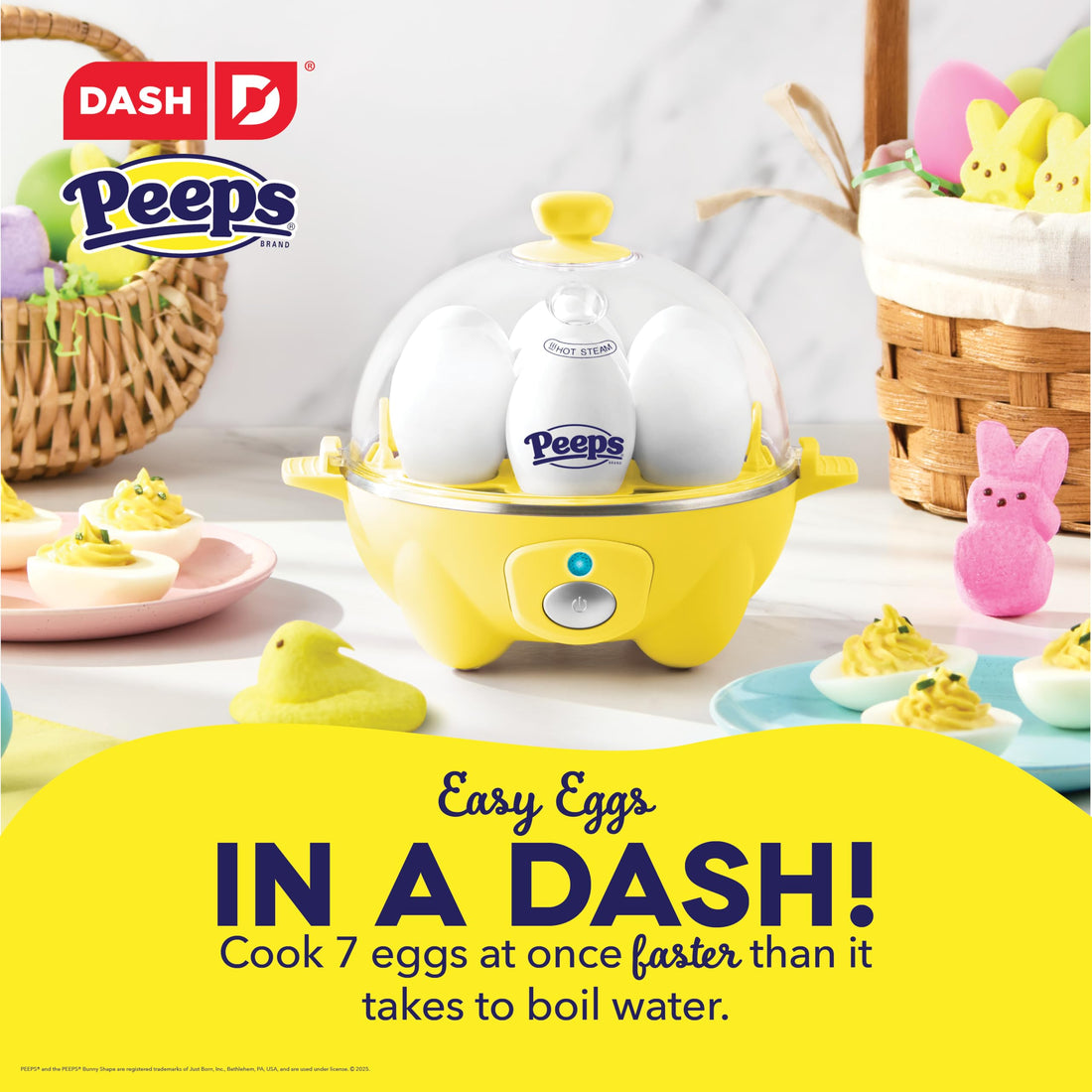 DASH Rapid Egg Cooker: 7 Egg Capacity Electric Egg Cooker for Hard Boiled Eggs