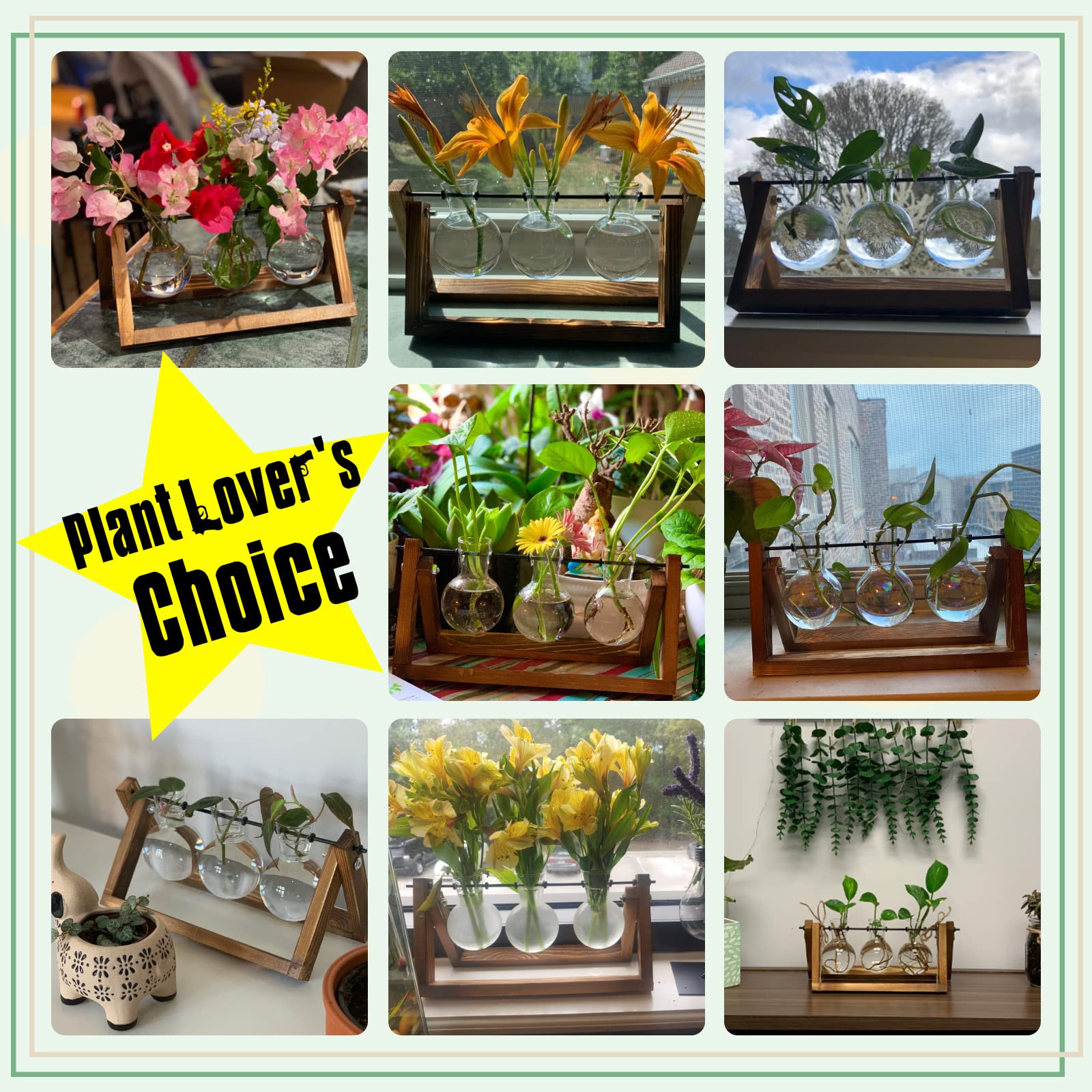 Plant Terrarium with Wooden Stand, Air Planter Bulb Glass Vase Metal