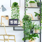 Faux Eucalyptus Hanging Plants - Set of 4 for Home Decor