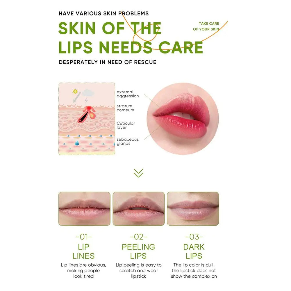 Aloe Vera Hydrating Lip Balm with Vitamin Essence | Moisturizing Repair Lipstick for Soft, Smooth Lips